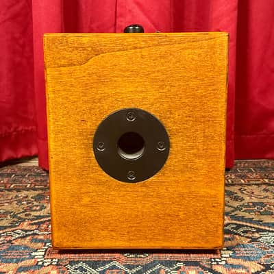 Elite Acoustics D6-58 120-Watt Rechargeable 8” + 5” Acoustic Guitar/Multi-Chan Amplifier w/ Gig Bag image 11