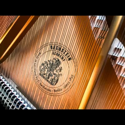 Premium Bechstein A180 Grand Piano image 9