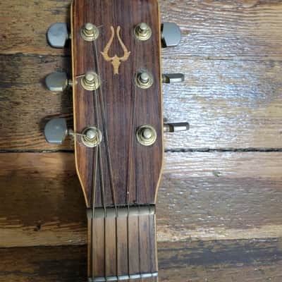 Daion The '78 Heritage 78? - Mahogany image 3