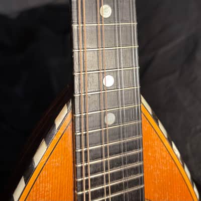 American Conservatory Lyon & Healy Bowl Back Mandolin - Early 1900s - Brazilian Rosewood - Great Player - Ship FREE!!! image 7