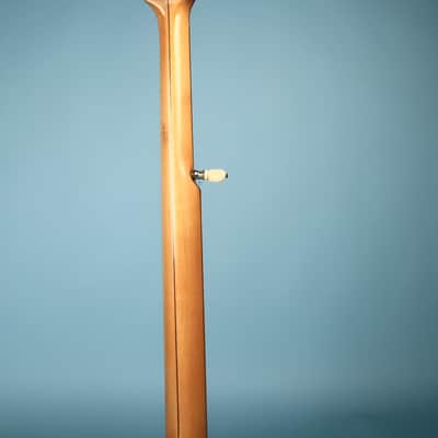 Vega Fairbanks Regent 5-String Openback Banjo, 1913 image 5