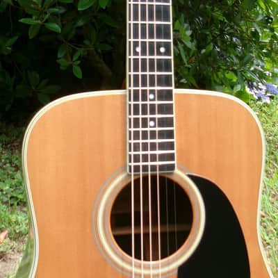 1977 Yairi DY-35 Hand Crafted All Solid Guitar+Deluxe Hard Case and lots of extras image 10