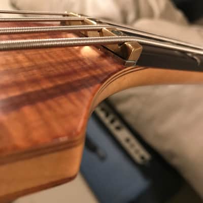 Alembic Spoiler 1983 Koa image 10