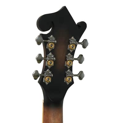 Gold Tone F-Style 6-String Acoustic Electric Mandolin-Guitar w/ Hard Case image 7