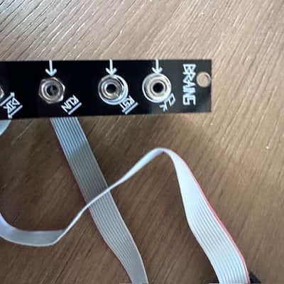 Make Noise Brains Sn# 102 Module black and gold eurorack image 3