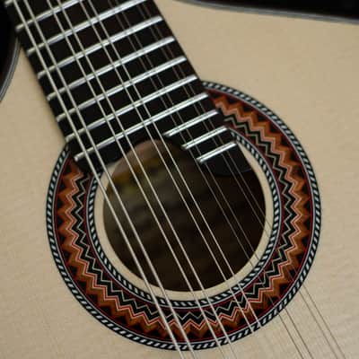 Junio Americo 10-String Mandolin | Brazil image 7