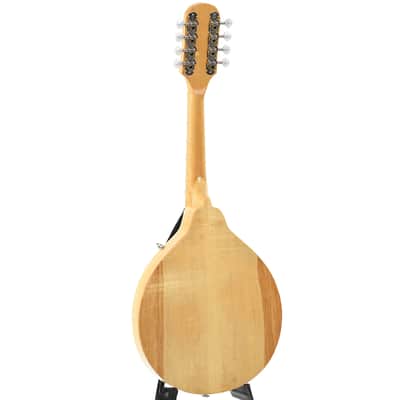 Jordan L. Buck A-Style Kit Mandolin (2024) image 12