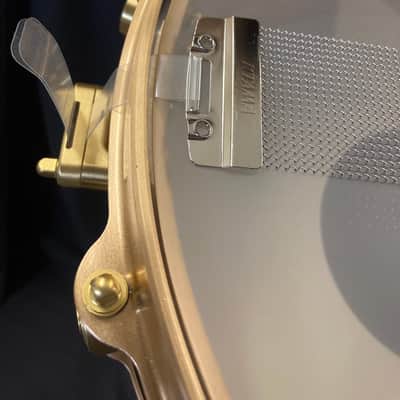 DW - 5x14" True Cast Bronze Snare Drum, New in Case, #069 2010's image 20