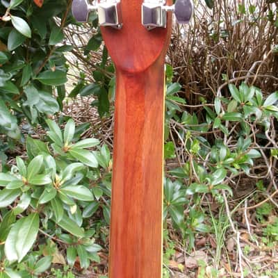 1974 Terada made Morris W25 Humming Bird Style image 9