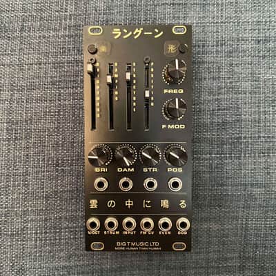 Big T Music Ltd Edition Blade Runner Rangoon (reworking of the ever popular Mutable Instruments Rings) 2025 MINT! Like NEW! image 1