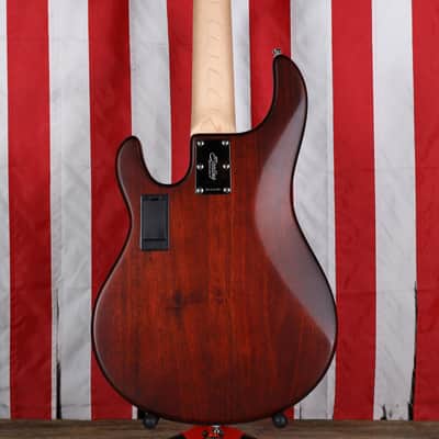 Sterling SUB StingRay Ray5 - Walnut Satin image 8