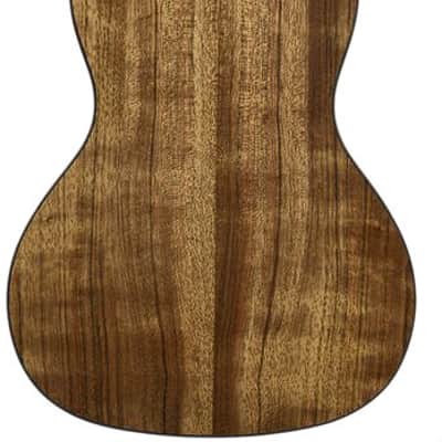 Kala KA-PWC Pacific Walnut Concert Ukulele image 2