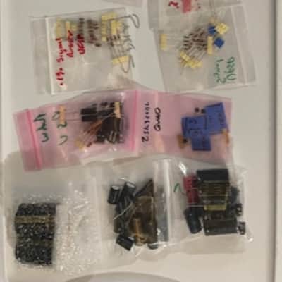 Salas Ultra FSP Level 2 kit with NOS Nichicon KG and KZ caps. image 1