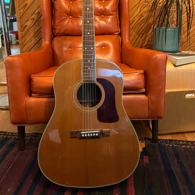 Washburn D-25S Dreadnought Acoustic Guitar - One Owner, Upgraded Bone Nut/Saddle/Pins w/Case image 1