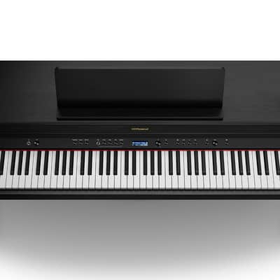 HP702-CH Roland image 8