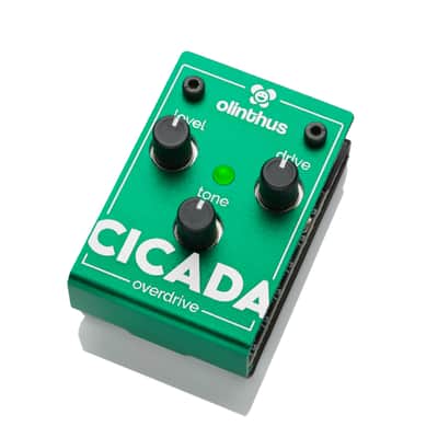 Olinthus Cicada Overdrive 2024 - Present - Green image 2
