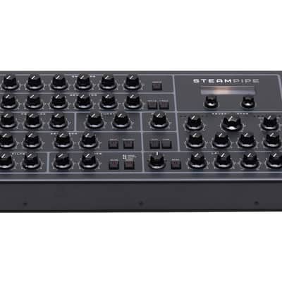 Erica Synths Steampipe Desktop Physical Modeling Synthesizer image 2