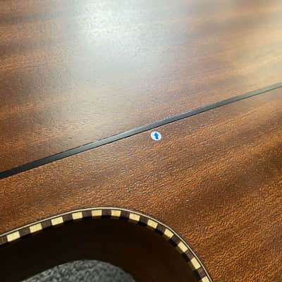 10 String Acoustic Electric Guitar, Solid Red Top Pine Body, Rosewood Fingerboard Neck image 20