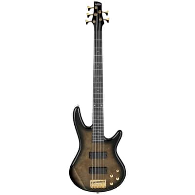 Ibanez GSR205PC TPB Gio 5 String Electric Bass. Transparent Pale Black Burst image 2