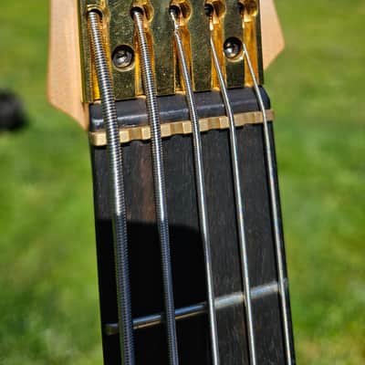 Swan RHO 5 Special NAMM 2022 image 7
