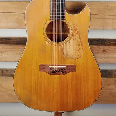 1965 Martin D12-20 Owned by Leo Kottke 10-String with COA Benefits Stropes Foundation image 5