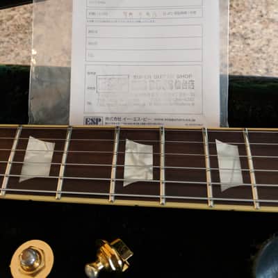 2009 Edwards Pure Material Honey Burst image 20