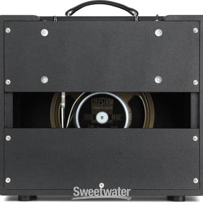 Synergy SYN-20IR 20-watt  1 x 12-inch Combo Amplifier - No Module Included - Black (SYN-20IRCd2) image 6