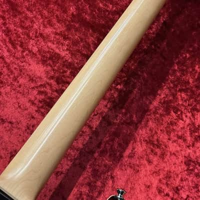T's Guitars DST-24 Carved Top [Made in Japan] [GSB019] image 10