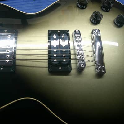 Gibson Adam Jones Signature Les Paul Standard 2022 - Present - Antique Silverburst image 13