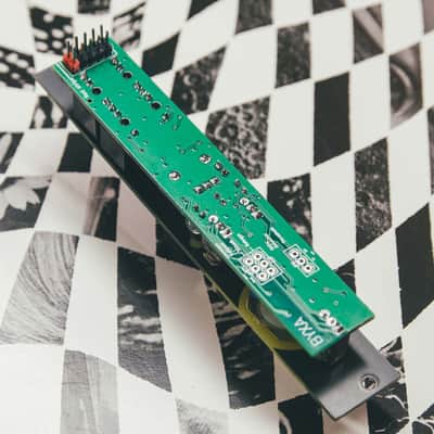 BYXA / Mutable Instruments Ears variant / Sylph Modular image 4