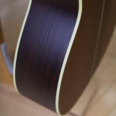 Lyon & Healy Lakeside Parlor Acoustic Electric - Indian Rosewood #004 image 11