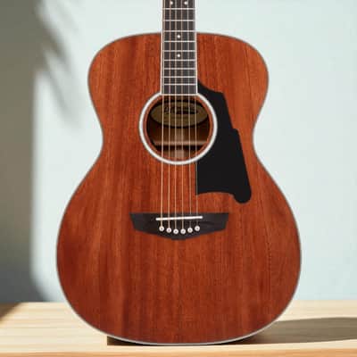 D'Angelico Excel Tammany Acoustic-Electric Guitar â€“ Natural Mahogany, Solid Top, Grover Tuners, Fishman Pickup image 1