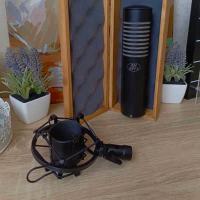 Mint Bash Audio RM BIV-3 Double-ribbon microphone XLR image 9