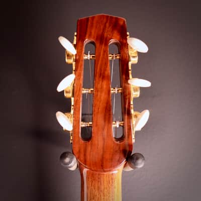 2017 Holo Tradition D-hole Selmer-Macaferri Style Manouche Guitar "Staro" image 9