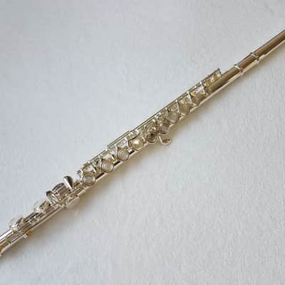 Immagine Professional 17 Open Hole Silver Plated Flute E Key B Foot with Case and Velvet Canvas Bag - 7