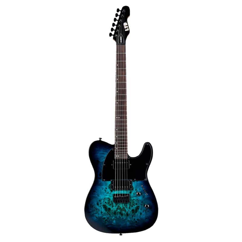 ESP LTD TE-200DX image 2