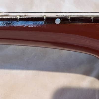 Luthier Gonzales Steel 12 String Ronroco / Charangon 2017 with 10 sets of strings image 8