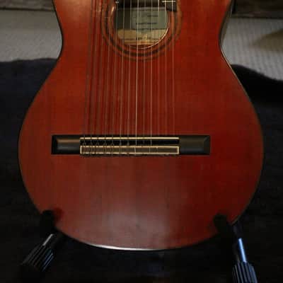 Darren Hippner 13-string Concert Classical 2011 image 7