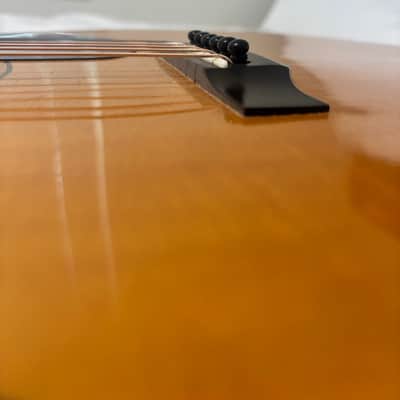 1981 Franklin OM Brazilian Rosewood image 10