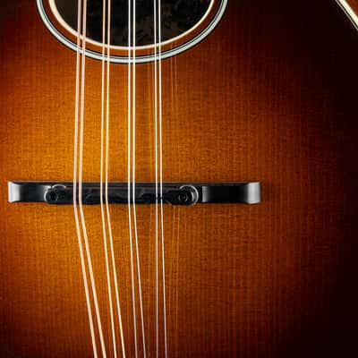 Collings MT2 O Adirondack Spruce and Flamed Maple 1-Piece Back Sunburst Mandolin NEW image 7