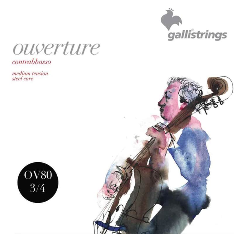 Galli OV80 Ouverture 3/4 Double Bass String Set image 1