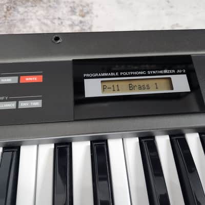 Roland Alpha Juno-2 Analog Synthesizer - Excellent Condition - Original Japanese 100V - Fully Working image 2