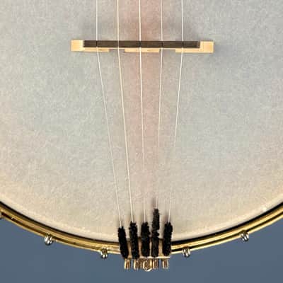 Starr Limited Edition 11" Tubaphone Tone Ring 5-String Openback Banjo image 21
