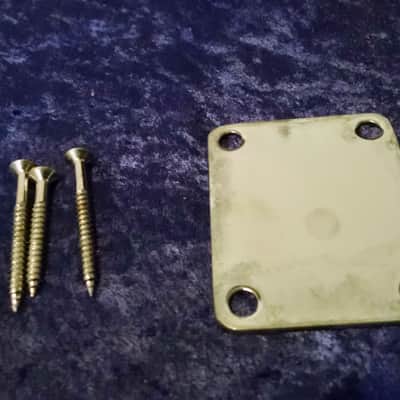 1990s Mighty Mite Chrome Neck Plate w/screws image 2