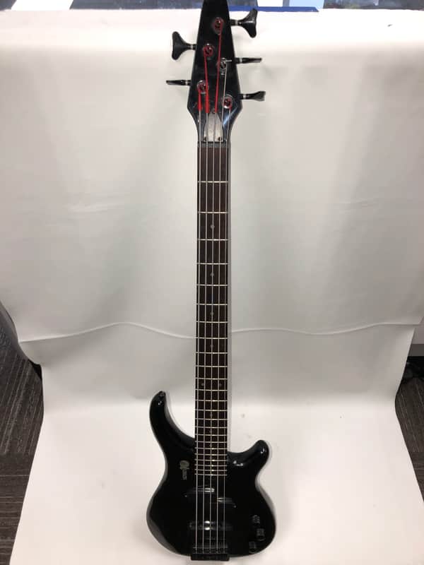 SERIES 10 WE 1-B BASS GUITAR image 1