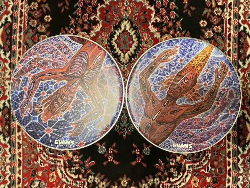 Evans Danny Carey 22"  Fear Inoculum “The Turning Man” #1 & #2  Bass Drum Head Set image 1