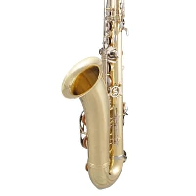 Selmer STS301 Premium Student Tenor Saxophone image 5