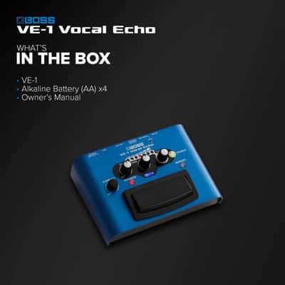 Mint Boss VE-1 Vocal Echo image 7