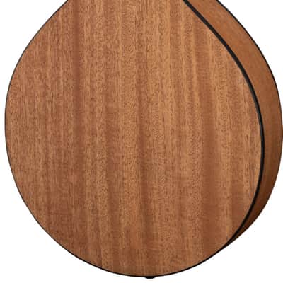 Eastman PCH-M104 A-Style Oval-Hole Mandolin - Natural image 2
