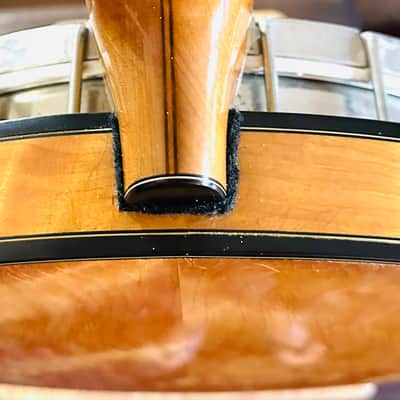 Stelling Bellflower Five String Banjo 1977 - Maple image 9
